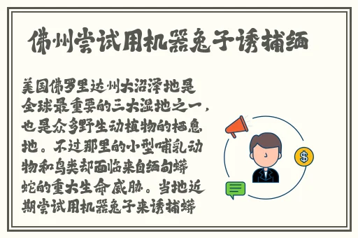 亚洲高清炮
